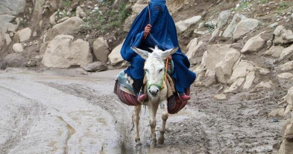 "الحمير" تحاول إنقاذ آلاف الأفغان من الفيضانات