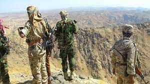 القوات الحكومية تصد هجومًا عنيفًا لعصابة الحوثي الإرهابية في جبهة يافع